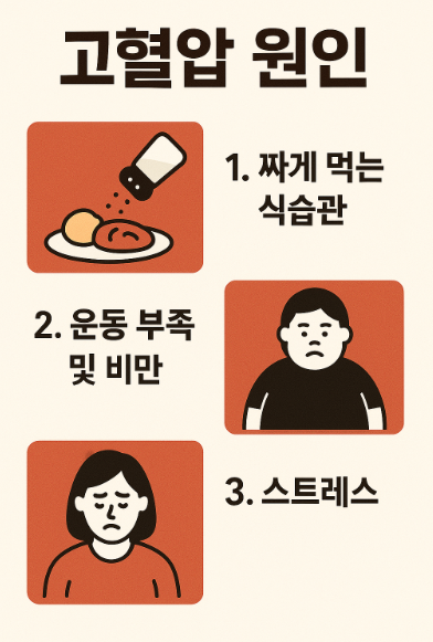 대표적인 고혈압 원인들