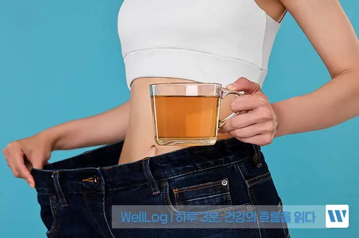 파비플로라 효능