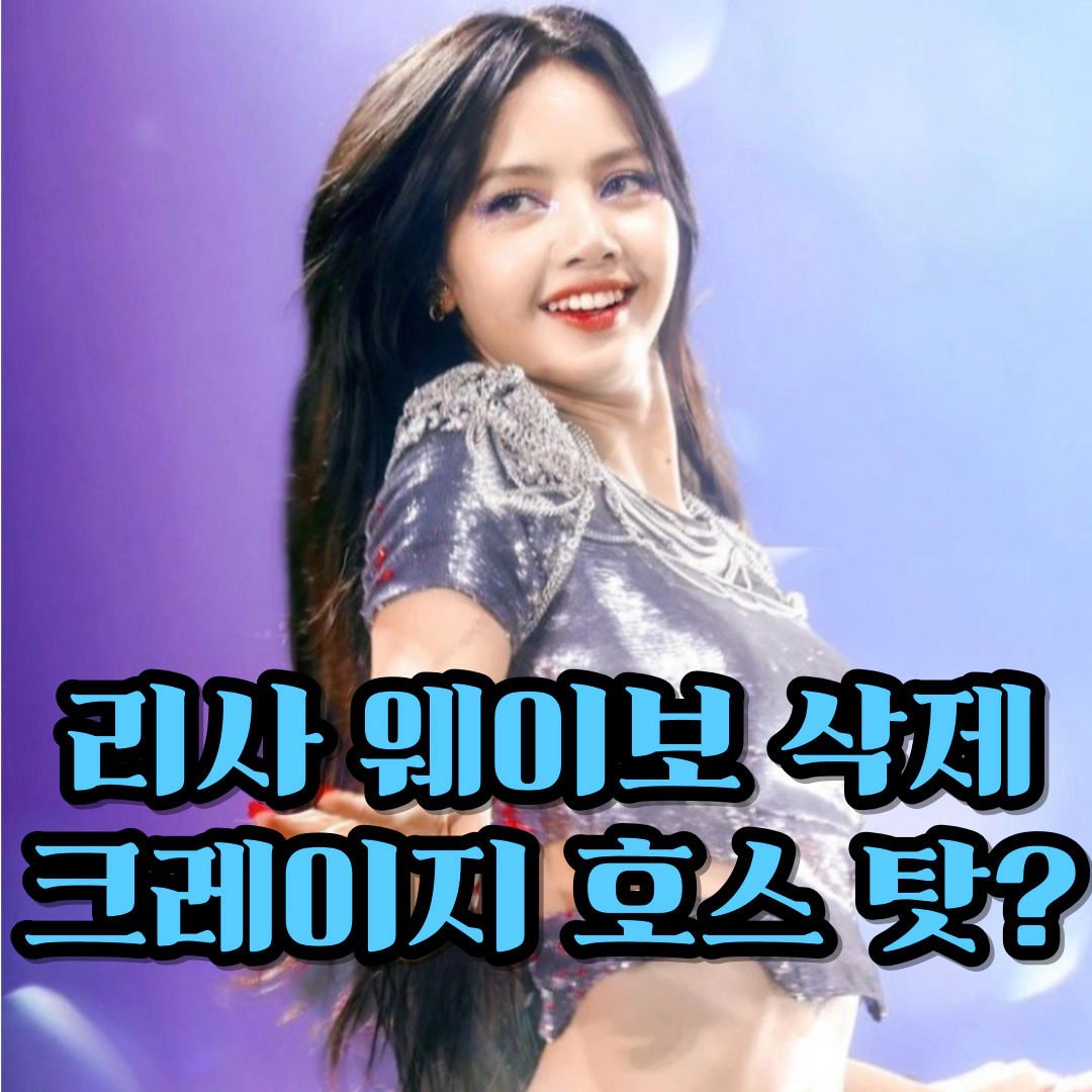 리사 크레이지호스 후폭풍(?)-중국 웨이보 계정 삭제 '황당'