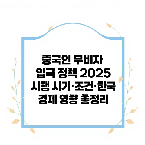 중국인 무비자 입국 정책 2025|시행 시기·조건·한국 경제 영향 총정리