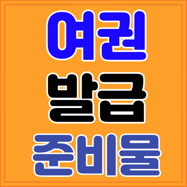 여권 발급 준비물, 비용