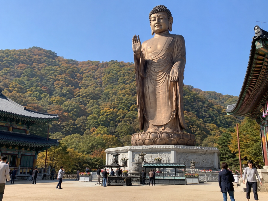충북 보은 법주사 청동미륵대불과 단풍 든 경내 풍경