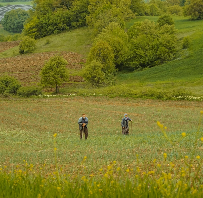 농어촌 인구감소지역 84개