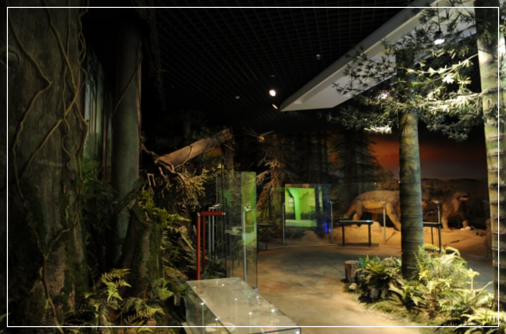 태백 가볼만한곳 베스트10 고생대자연사박물관