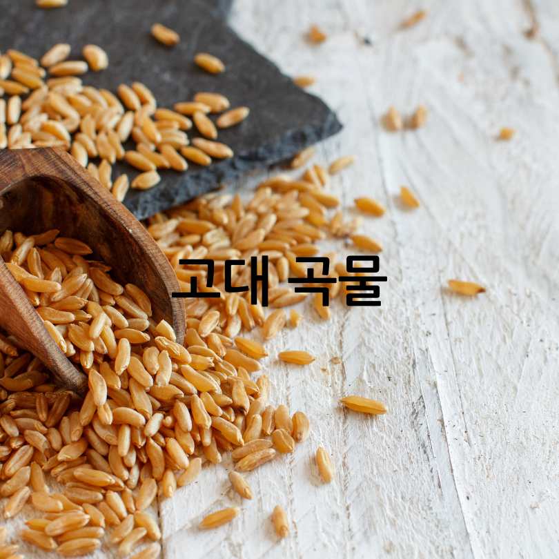 카무트와 카무트 효소 비교