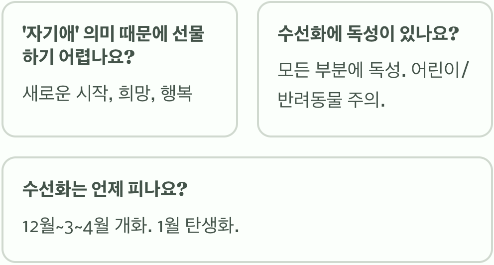 수선화 꽃말과 색상별 의미 총정리
