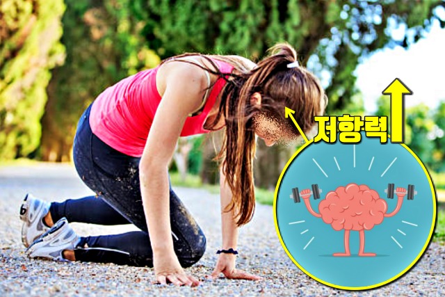 뇌세포 재생, 치매, 생로병사의 비밀,보폭 10cm 더 넓혀 걷기 운동 효과, 건강, 팁줌마 매일꿀정보