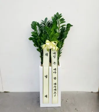 개업 축하 인사 화분 카드 문구 번창 기원 덕담 센스 있게_15