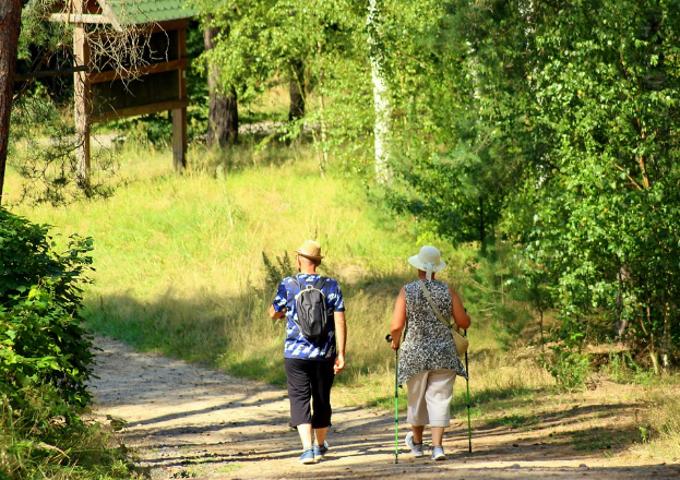 성인간호학 노인 환자의 건강 관리(정신적, 신체적) 건강 관리에 필요한 시스템과 지원