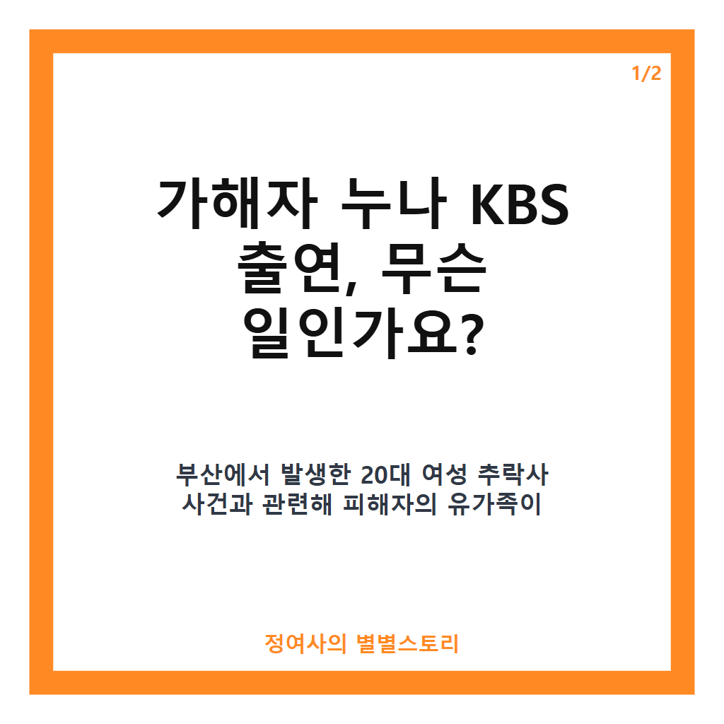 가해자 누나 KBS 출연 논란, 부산 추락사 유가족의 방송사 입장 요구 집중 분석 카드뉴스 1
