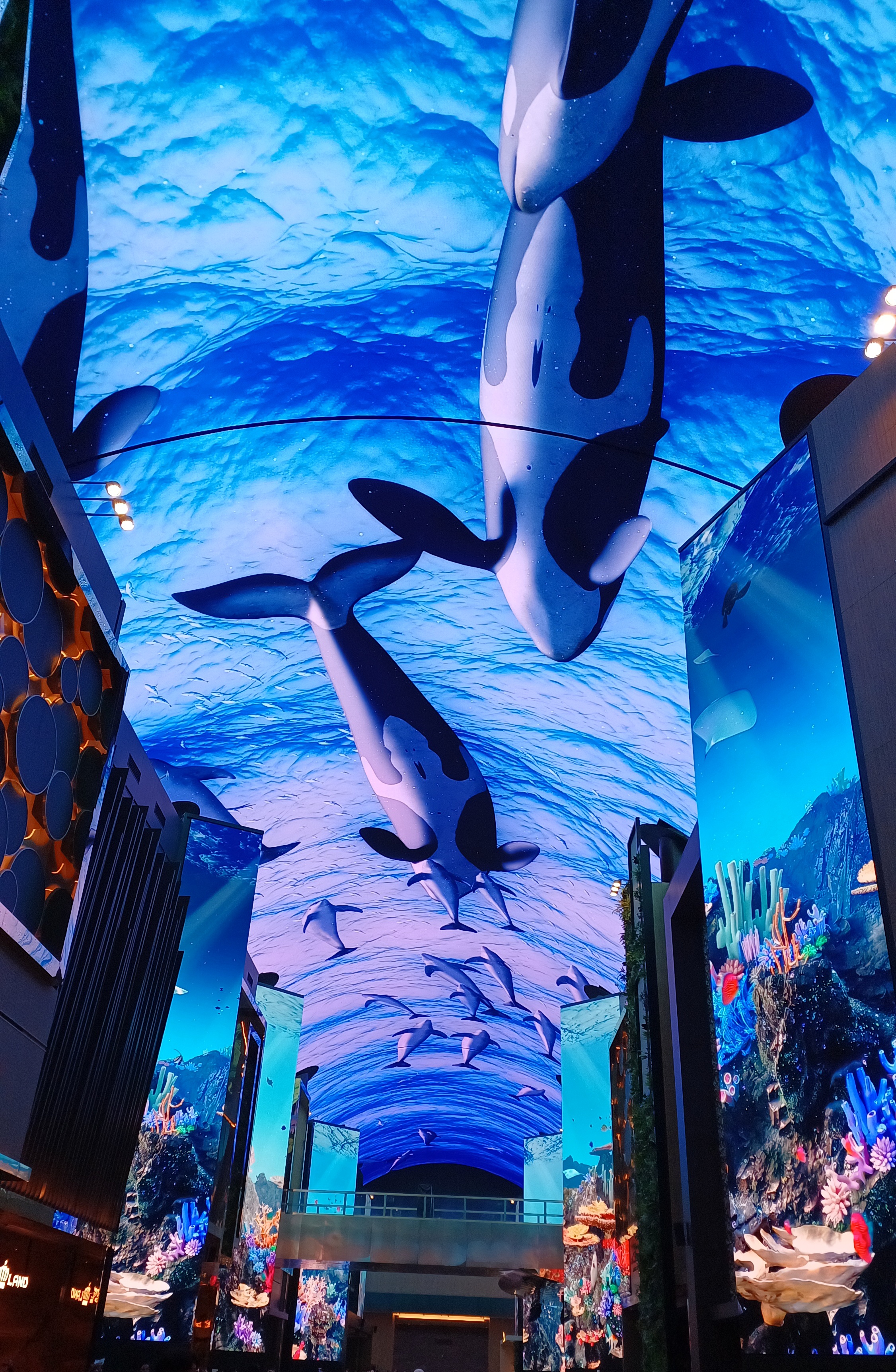 인스파이어-오로라-고래쇼-7