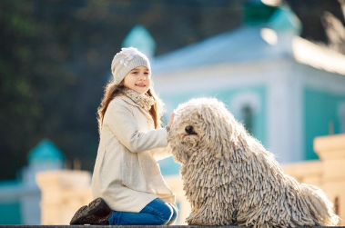 사람과 산책하는 풀리.