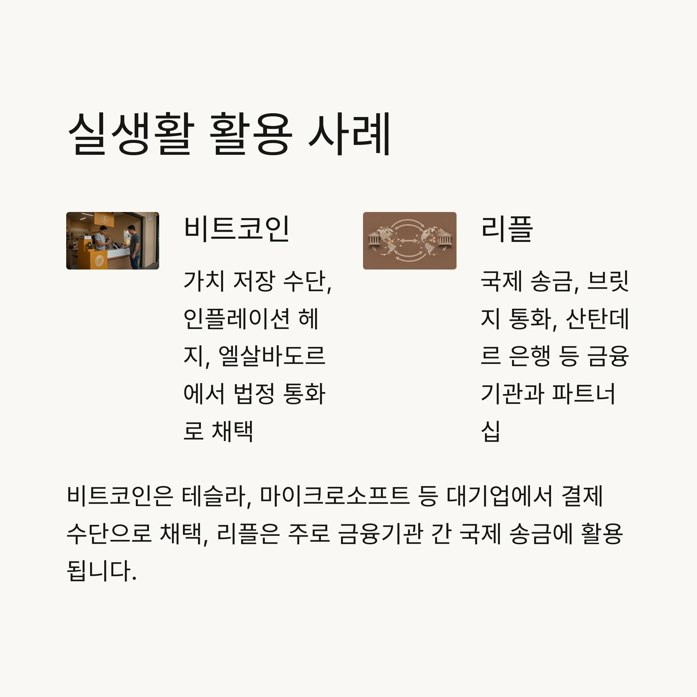 💰 투자 전략: 리스크와 수익 분석