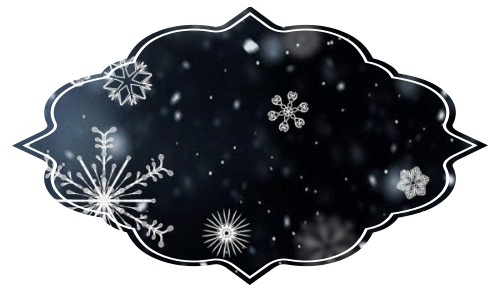 눈 결정체 모습