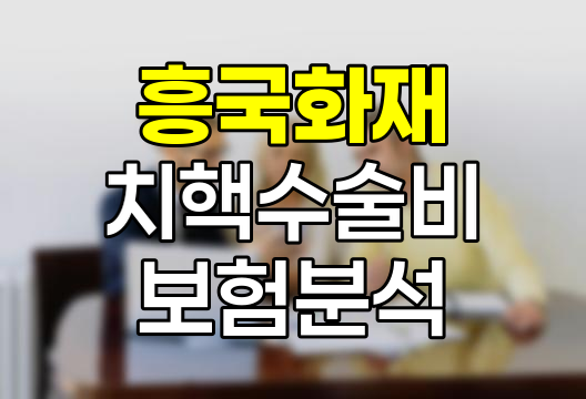 흥국화재 치핵수술비 보험, 치루 보장 여부와 특징 분석