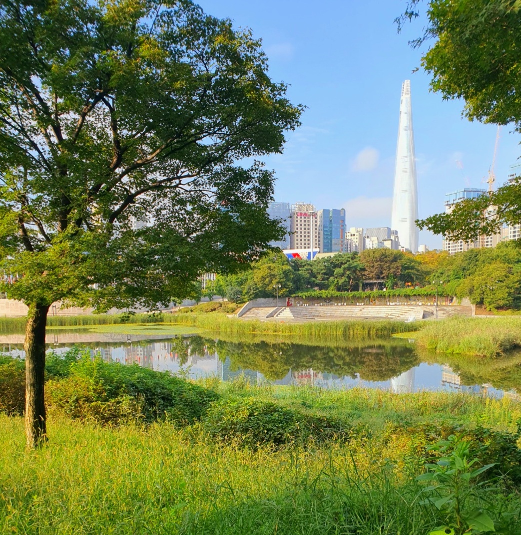 올림픽-공원의-풍경은-평화로워요.
