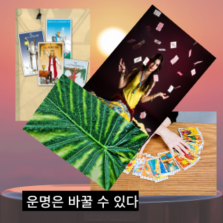 자신의운명에대한 궁금증과 운세를 보는심리적요인