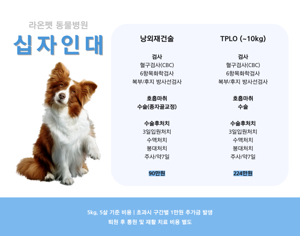 강아지 십자인대 파열: 원인, 증상, 진단, 치료