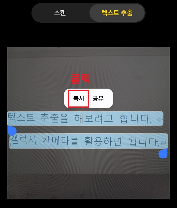 복사 클릭함