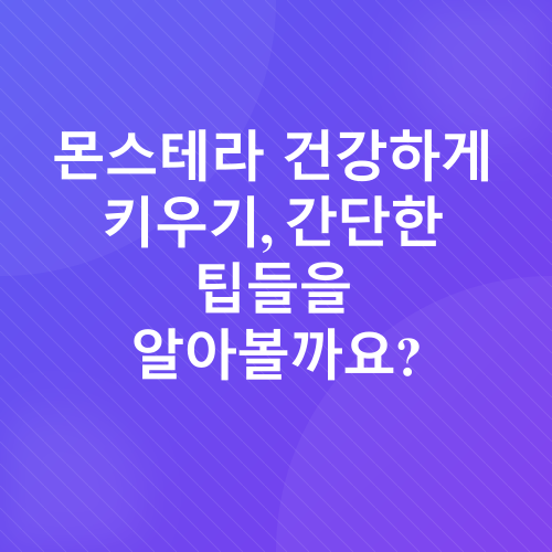 몬스테라 키우기_3