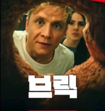 브릭