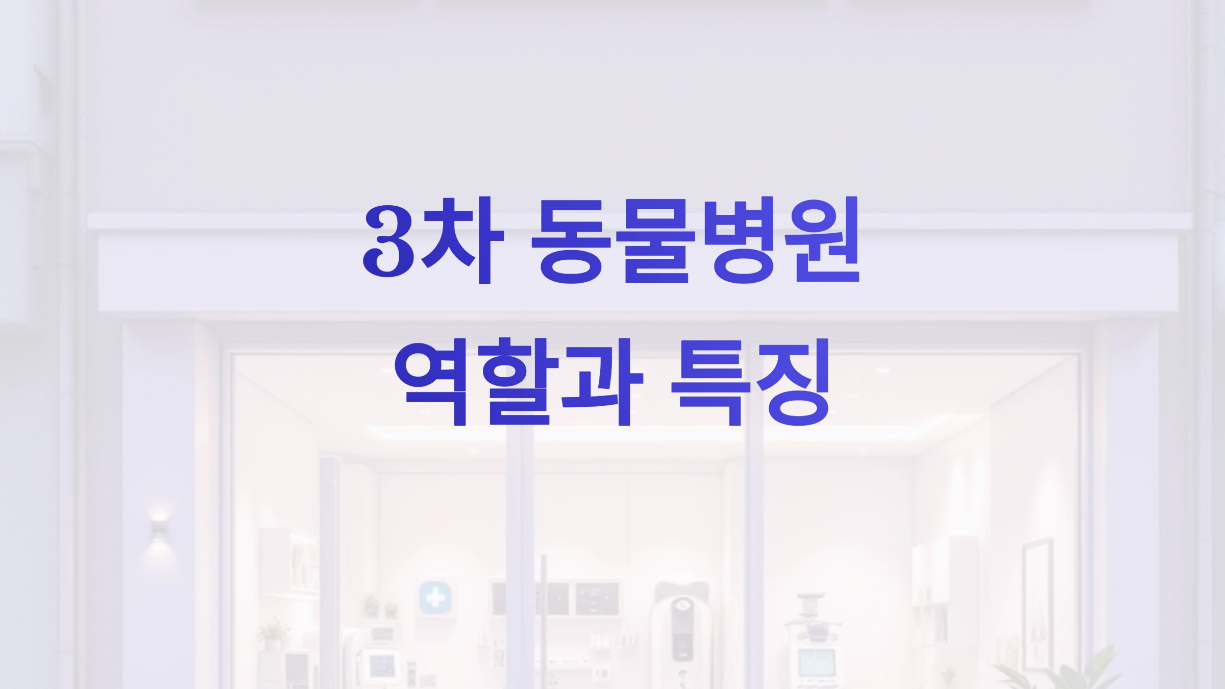 3차 동물병원이란 역할과 특징