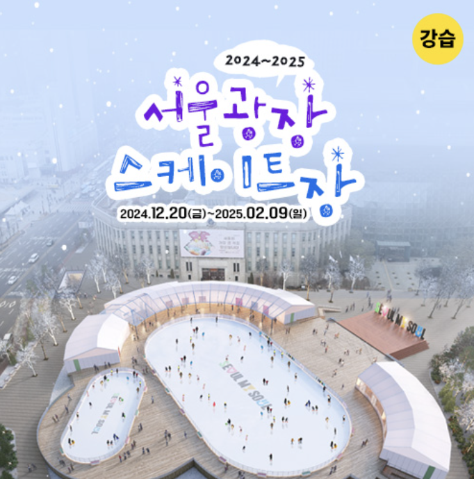 서울광장 스케이트장 그룹강습강좌