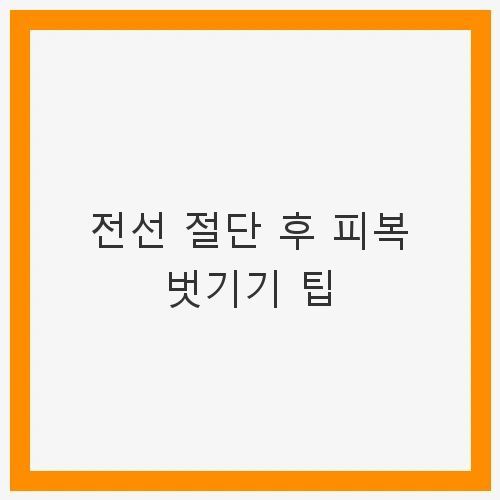 전선 절단 후 피복 벗기기