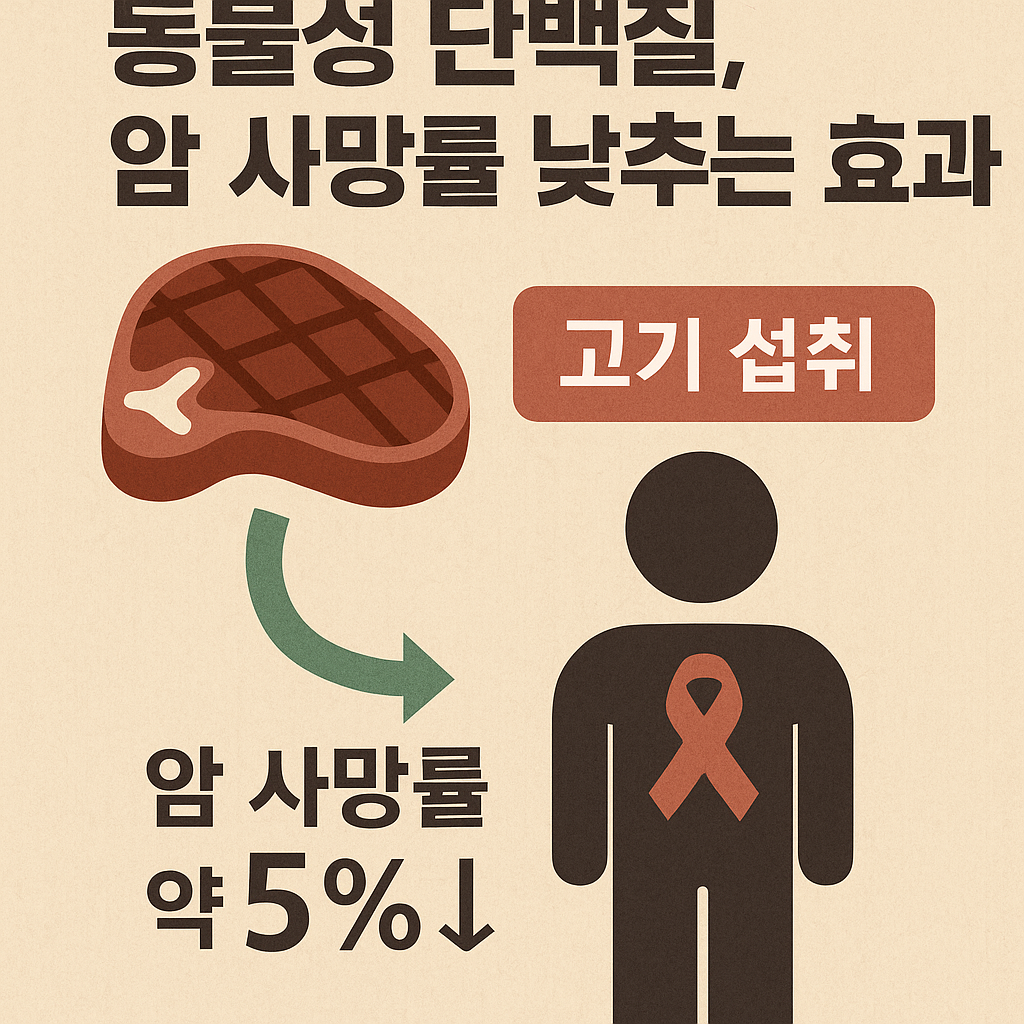 동물성단백질 암 사망율 낮추는 효과 그림