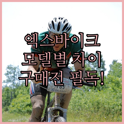 숀리 엑스바이크 실내자전거 추천 모델..