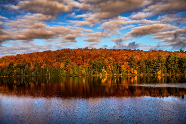 혼자 여행하는 여성과 캐나다 밴쿠버의 풍경