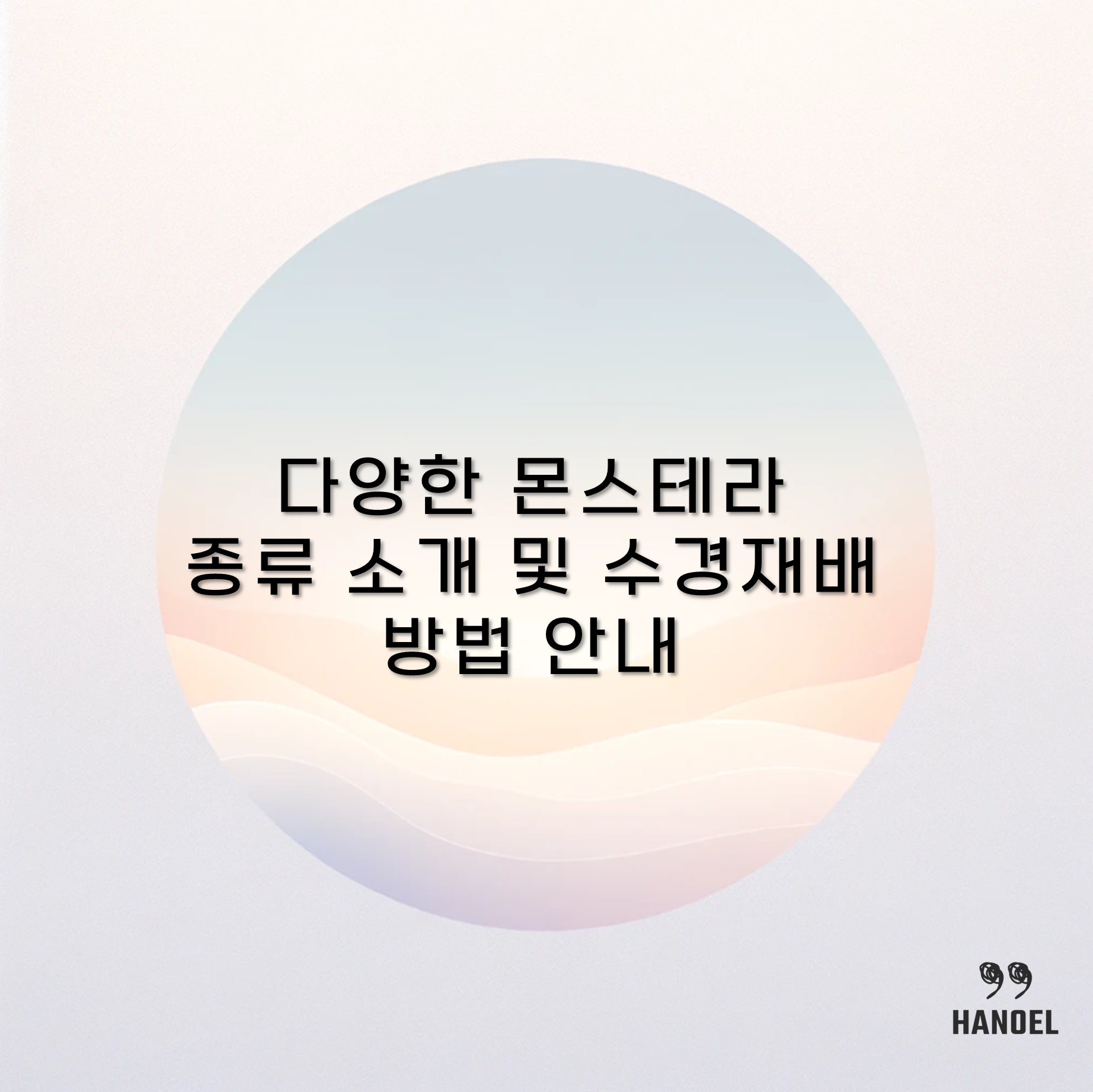 다양한 몬스테라 종류 소개 및 수경재배 방법 안내