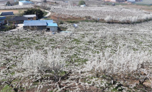 드라마 촬영지 눈물의 여왕