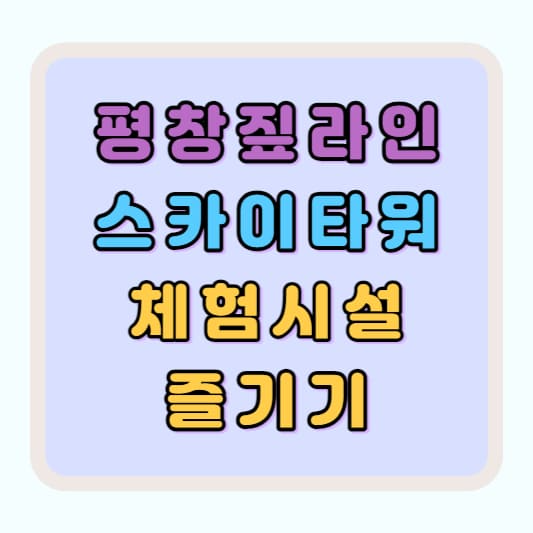 평창짚라인 체험 평창여행