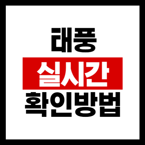 태풍 실시간 위치