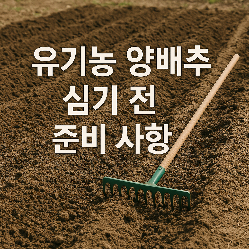 유기농 양배추 심기 전 준비 사항
