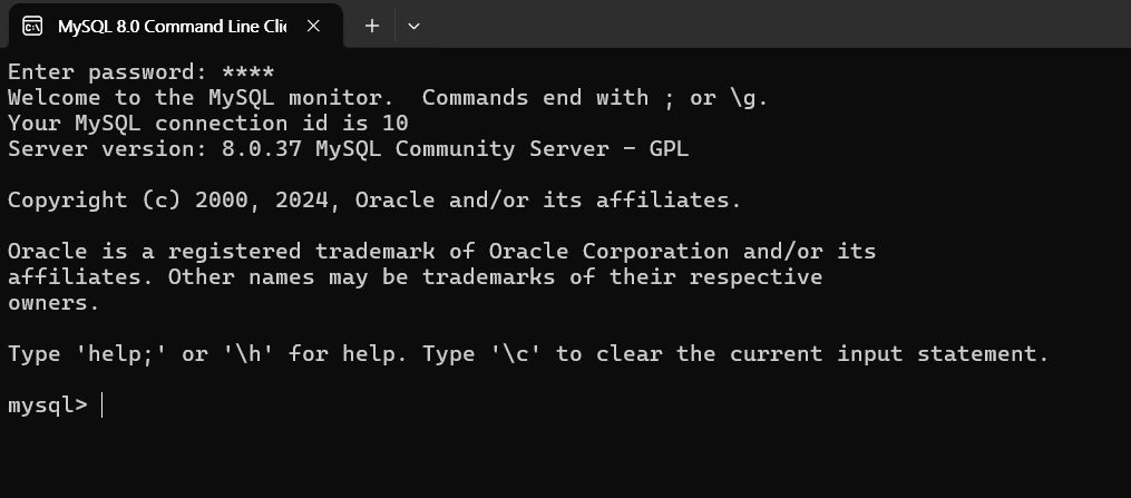 MySQL 접속 성공