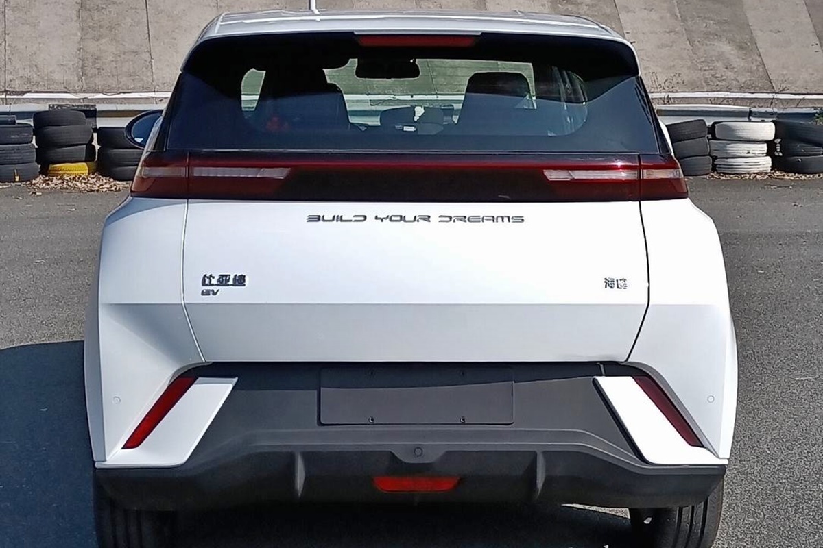 BYD 해치백 씨굴