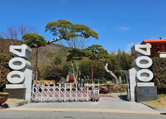 압해도 천사섬 분재공원