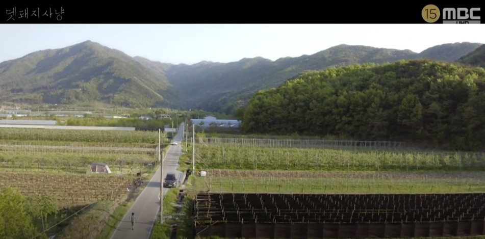 [드라마추천] 결말이 궁금한 멧돼지 사냥 줄거리, 촬영지