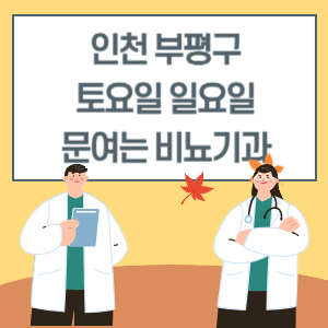 인천 부평구 토요일 일요일 비뇨기과 진료 병원 리스트