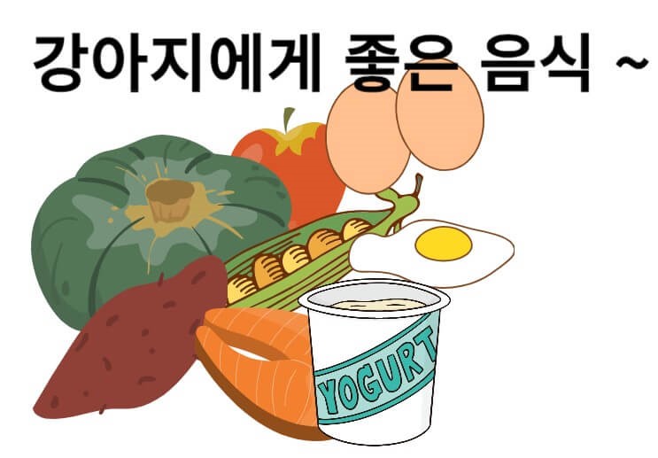 강아지에게 좋은 음식 10가지 그림