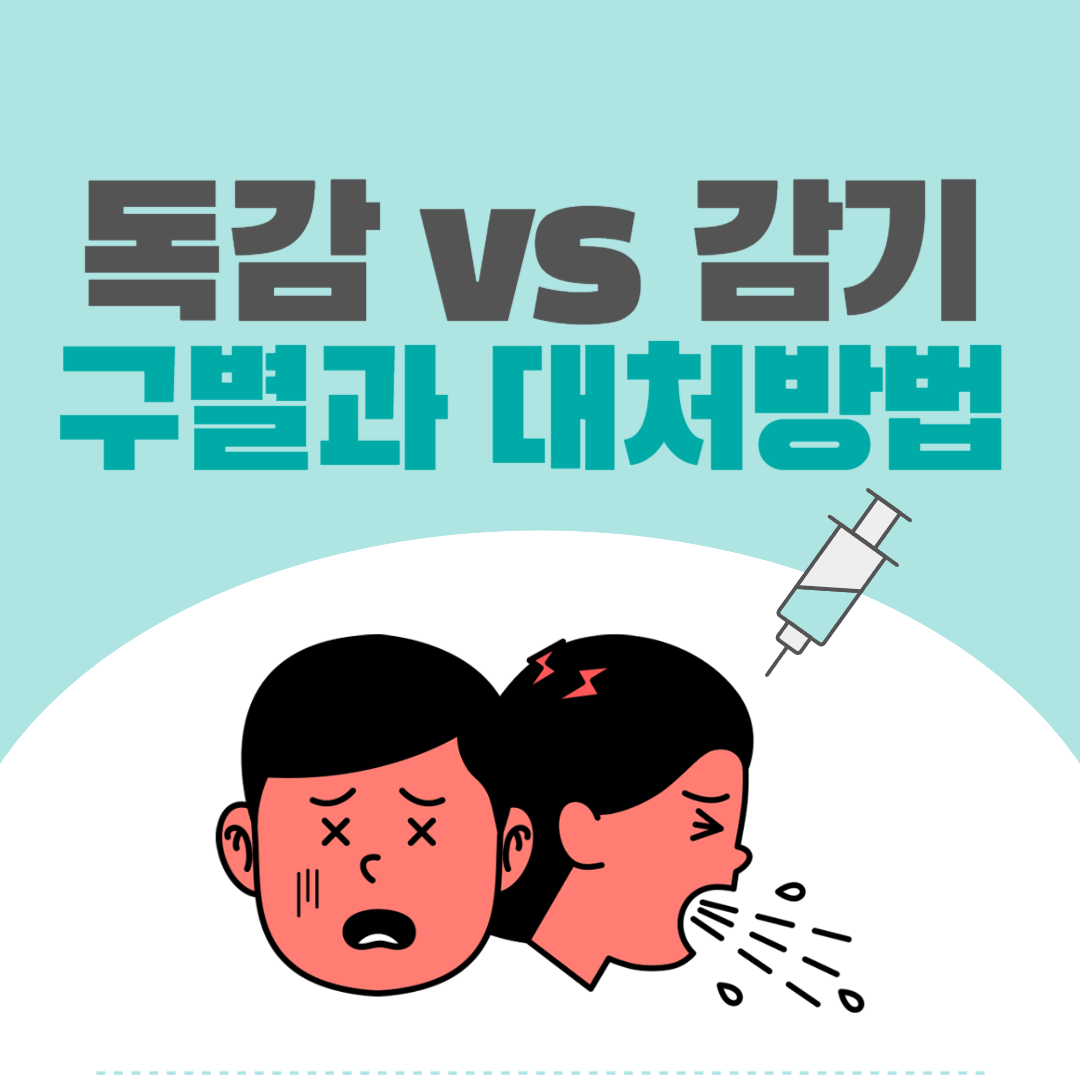 독감 감기