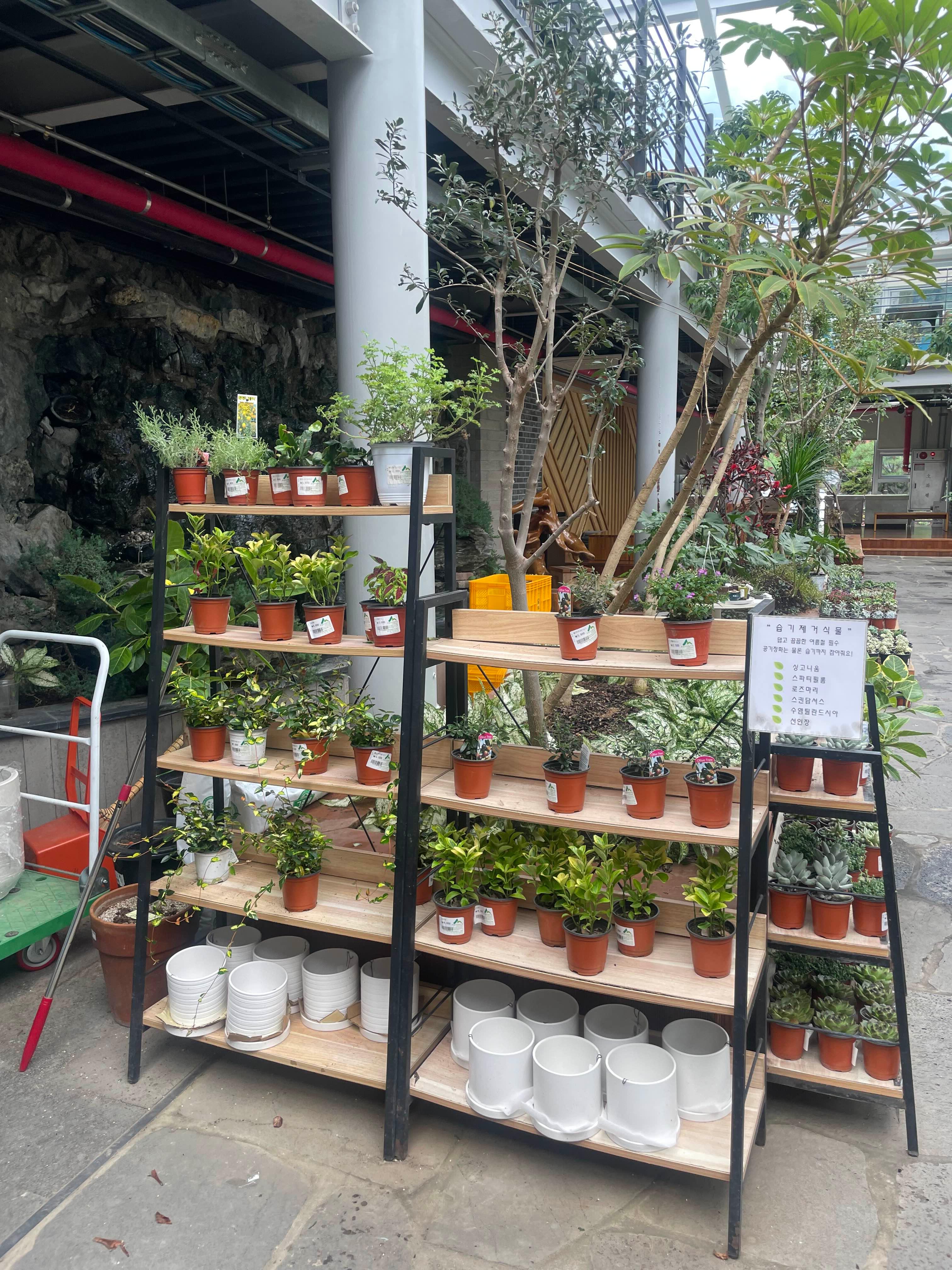 포항 산림조합 숲카페 방문 후기