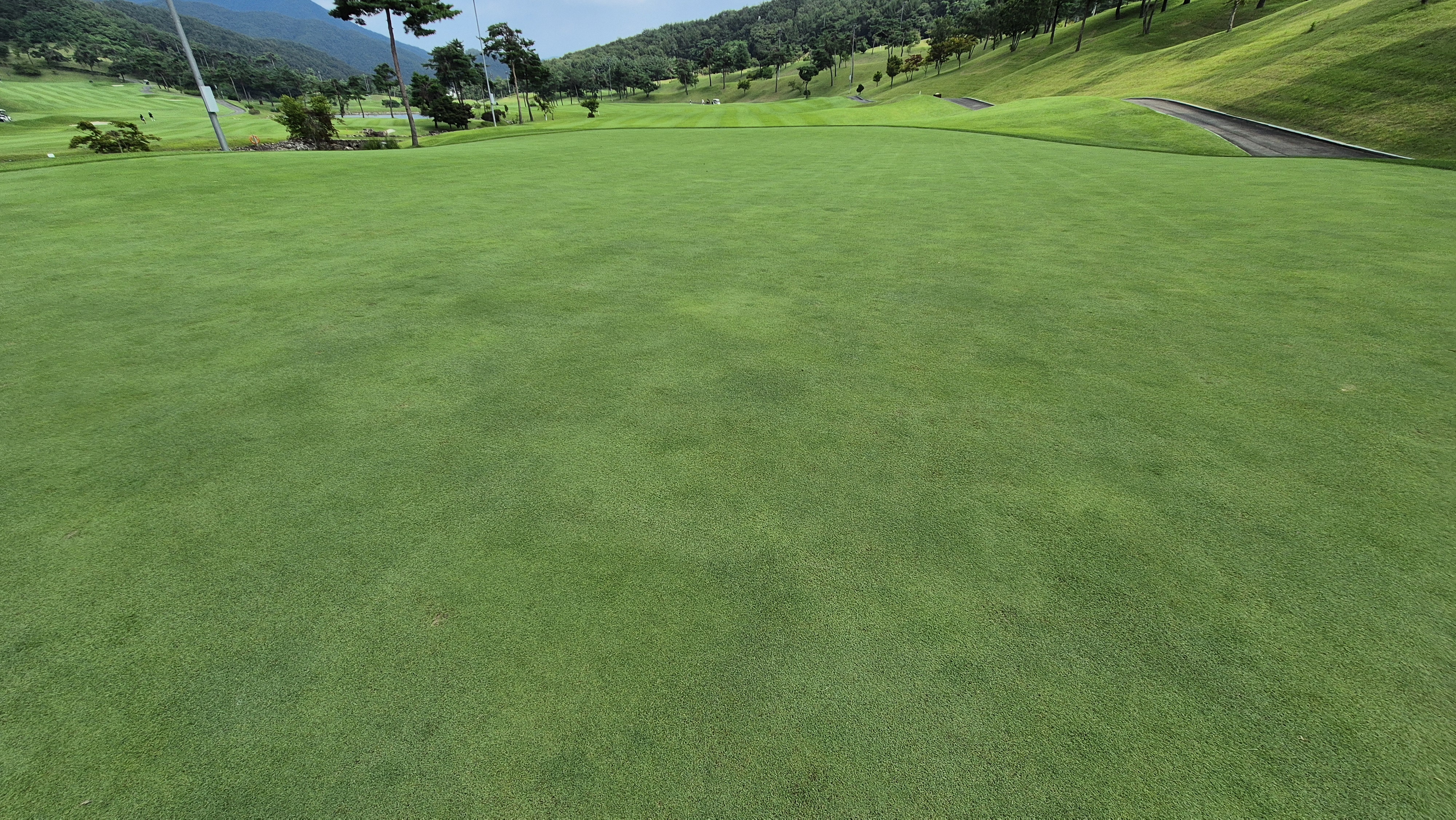 동원썬밸리cc 라운드 후기