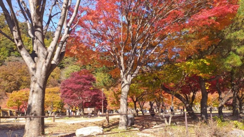 지리산_뱀사골_캠핑장