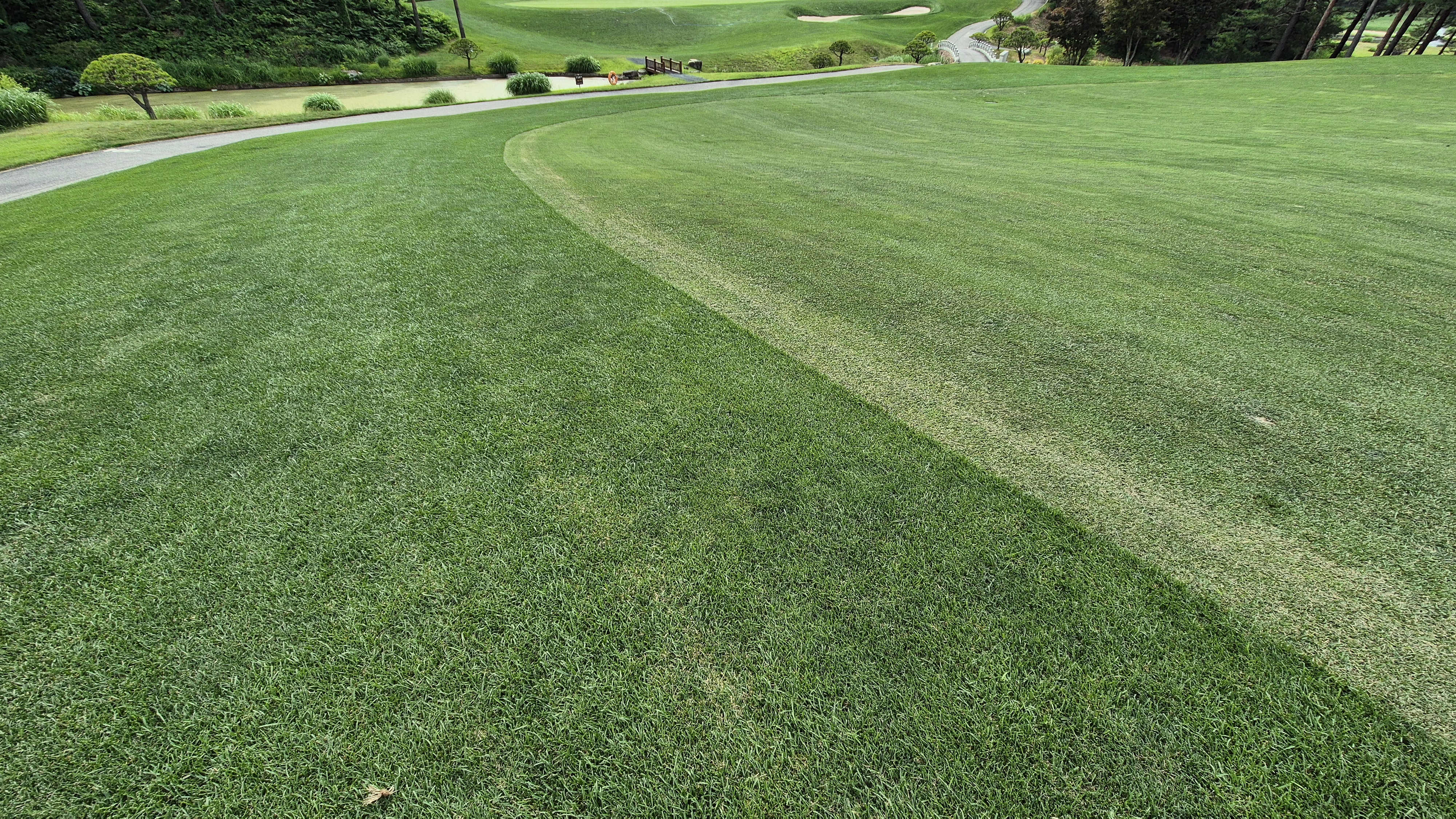 파인리즈cc 라운드 후기