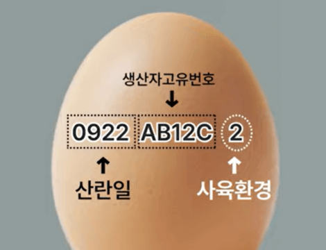 계란 고르는 꿀팁 - 산란일자