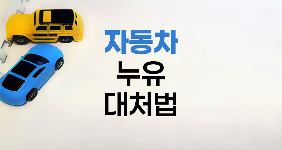 자동차 누유 원인과 대처법