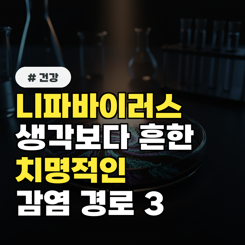 니파바이러스, 생각보다 흔한데 치명적인 감염 경로 3가지